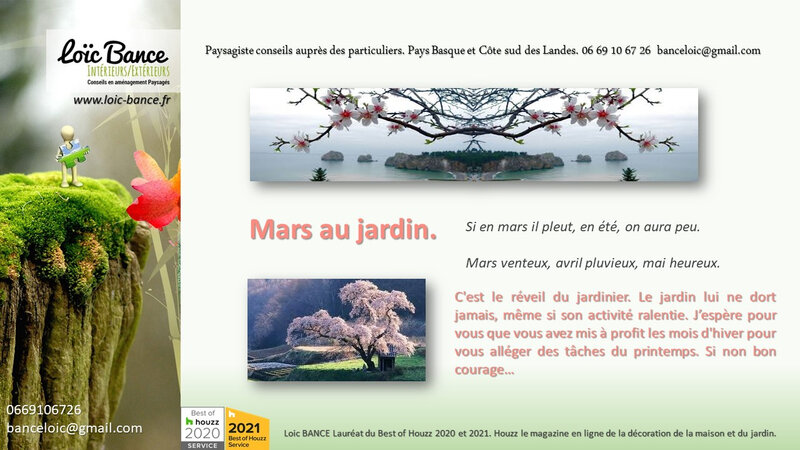 Paysagiste-Pays-Basque-Paysagiste-Landes-conseils-aux-particuliers-Loic-BANCE-mars-au-jardin