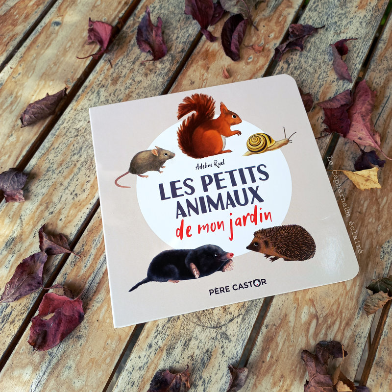Les petits animaux de mon jardin