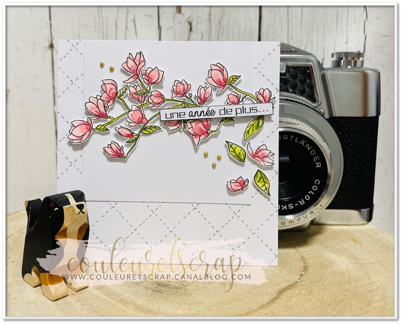 Couleuretscrap_sketch_little_carte_anniversaire