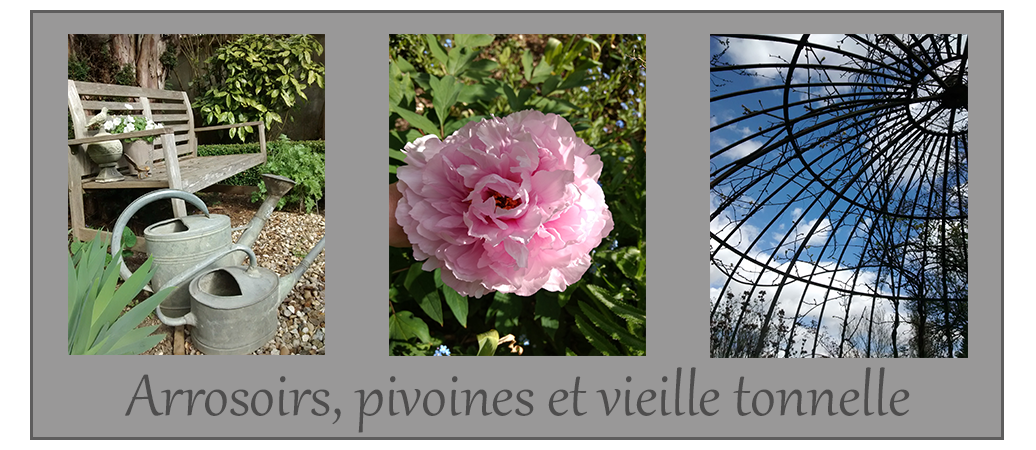 Arrosoirs, pivoines et vieille tonnelle - blog jardin déco