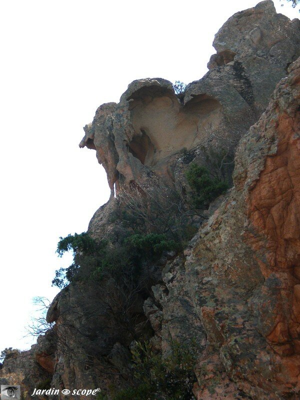 Calanche de Piana - Coeur dans la roche