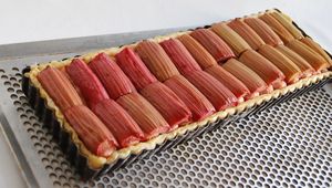 Tarte_rhubarbe__biscuits_roses_004