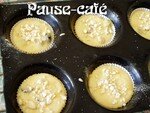 muffins_aux_raisins_noirs_et_blancs__9_
