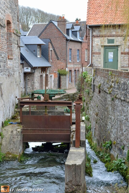 4617-Moulin-1