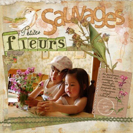 Fleurs_sauvages_reduit