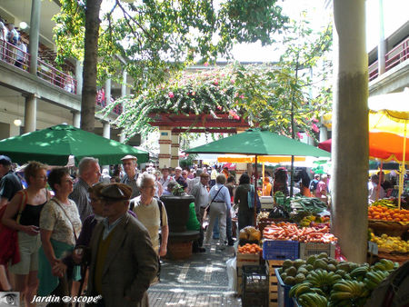 9044_March__de_Funchal