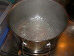 DSCN0375