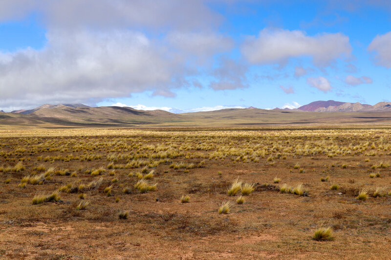 De Cachi à Salta26