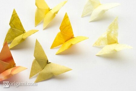 Origami Butterfly-00058