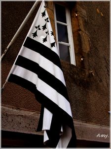 Breton_flag__Gu_rande__July_2009