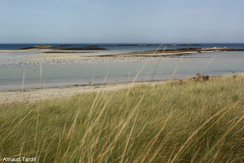 0066 Plouguerneau - Pays des Abers - Dunes de Sainte-Marguerite blog