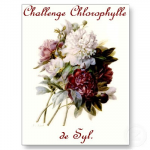 Challenge chlorophylle
