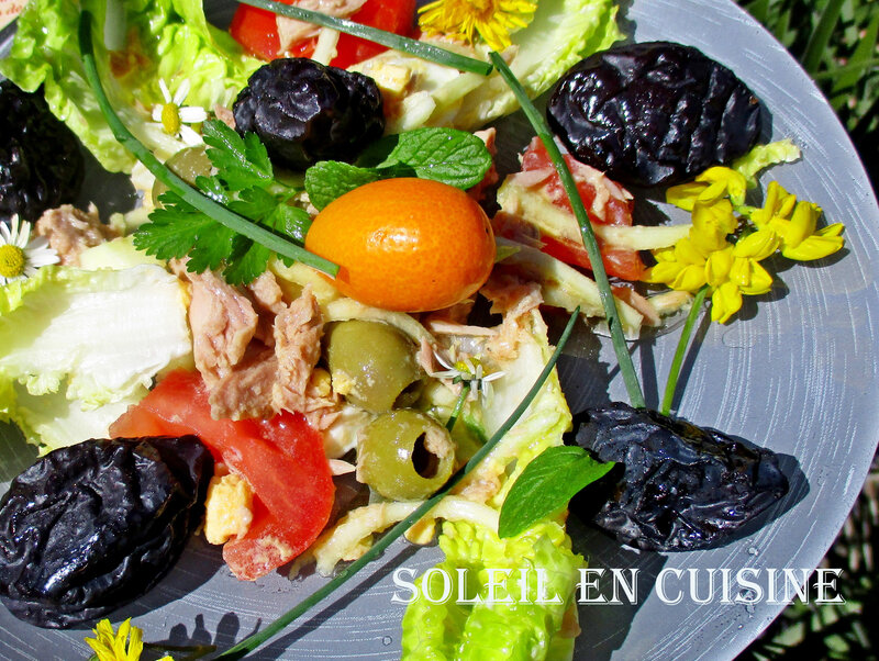 coufidou soleil en cuisine (2)