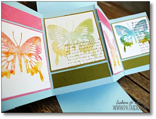 carte déployée papillons 2