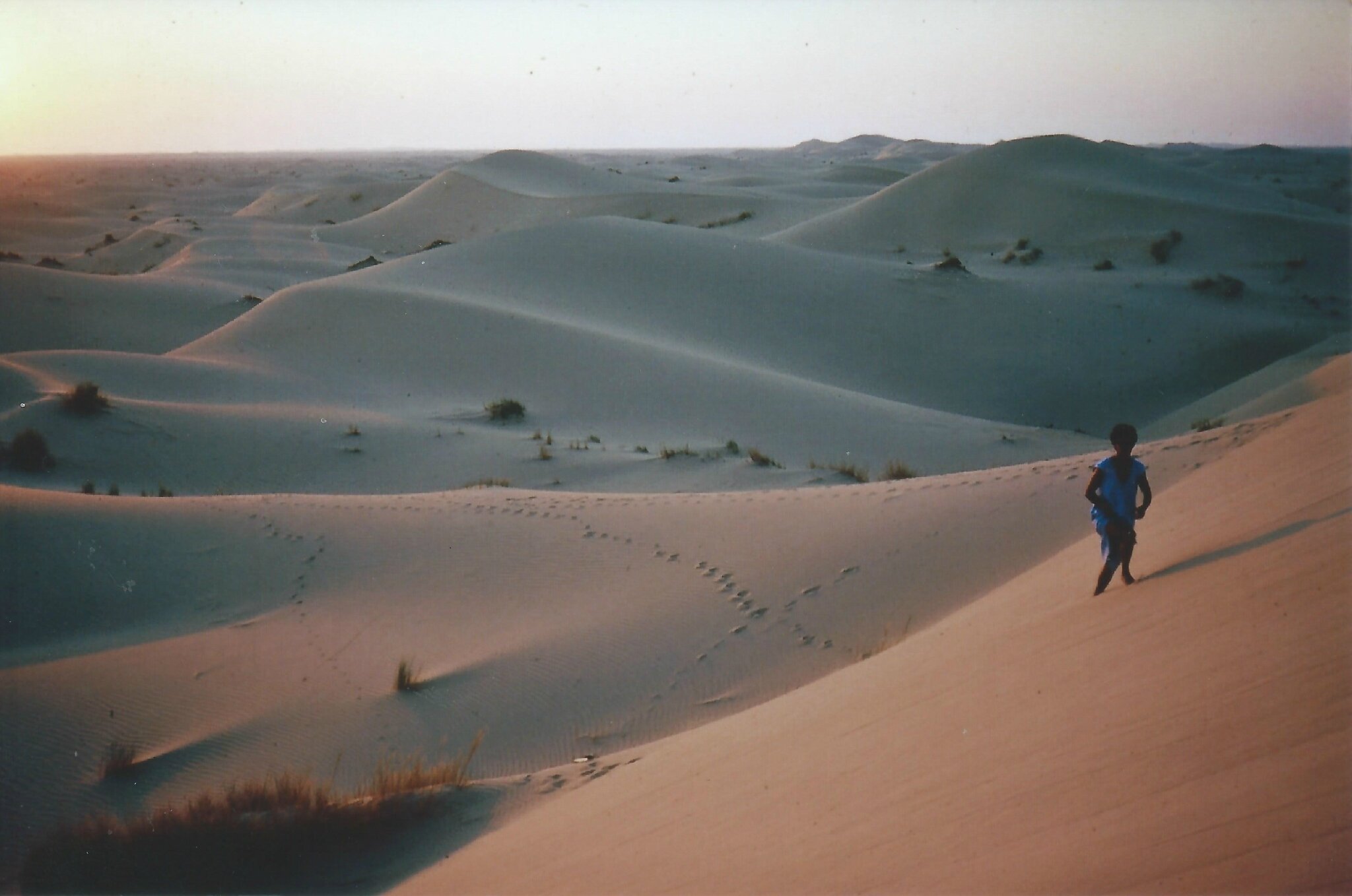 guide desert