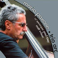 <b>Mario</b> <b>Pavone</b> : Trio Arc (Playscape, 2008)