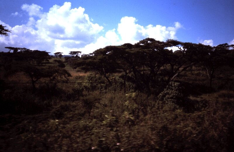 nord kenya zz