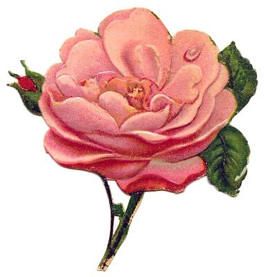 ScrapPink-Rose-Antique-GraphicsFairy