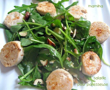 SALADE_POUR_PARESSEUSEjpg