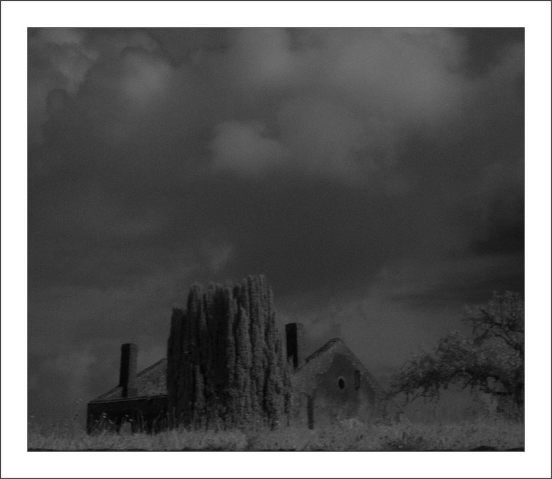 Oradour maison cyprès IR 120814