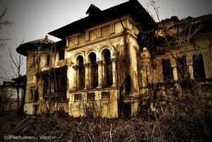 casa miclescu radulescu2