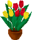 fleurs_tulipe_14