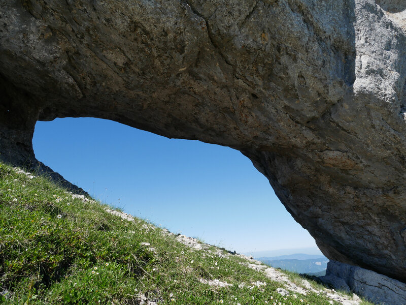 Fenêtre de La Grande Moucherolle