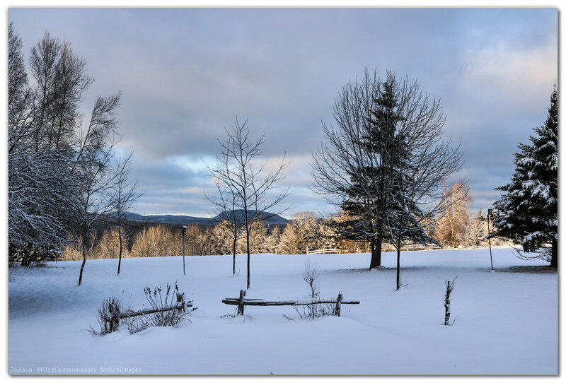 IMG_0121-1-2