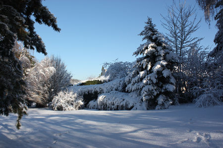 jardin_neige3