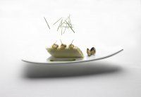 portos_caneloni_cep__aubergine