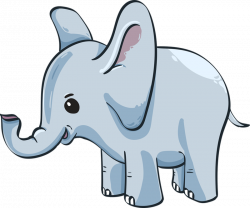 baby-elephant-3526681_960_720
