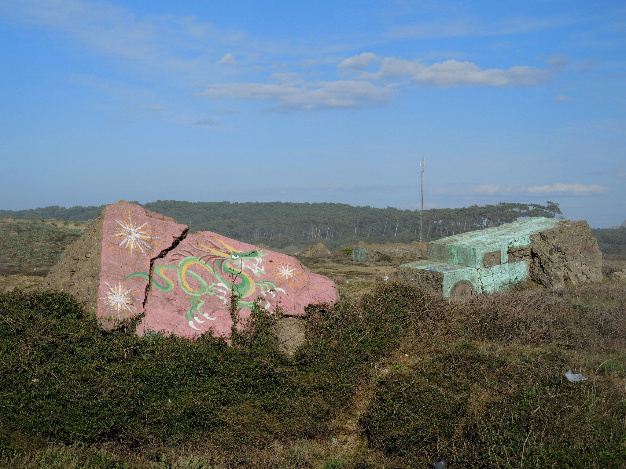 Tarnos, champ des blockhaus, dragon et camion