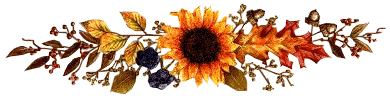 Barre_automne