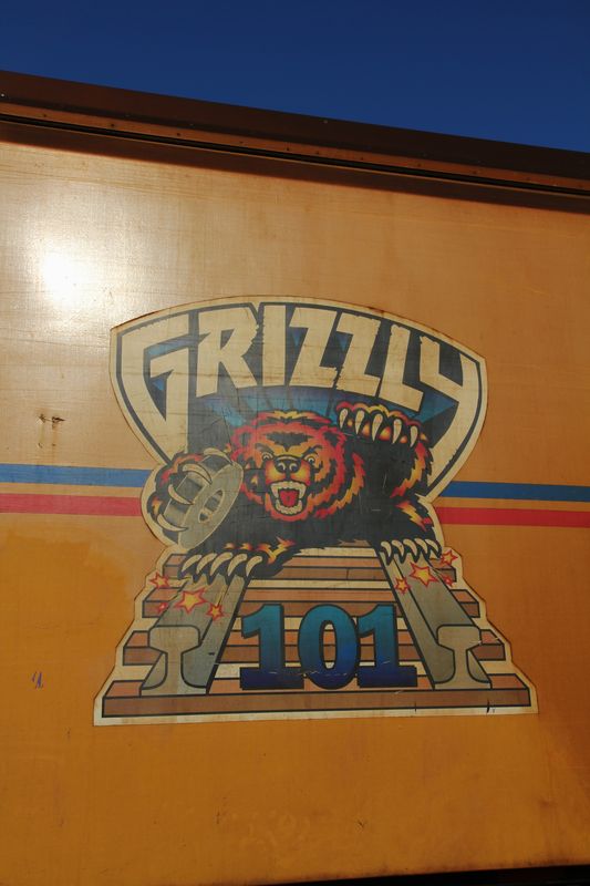 'Grizzly 101'