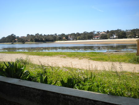 DSCN1542