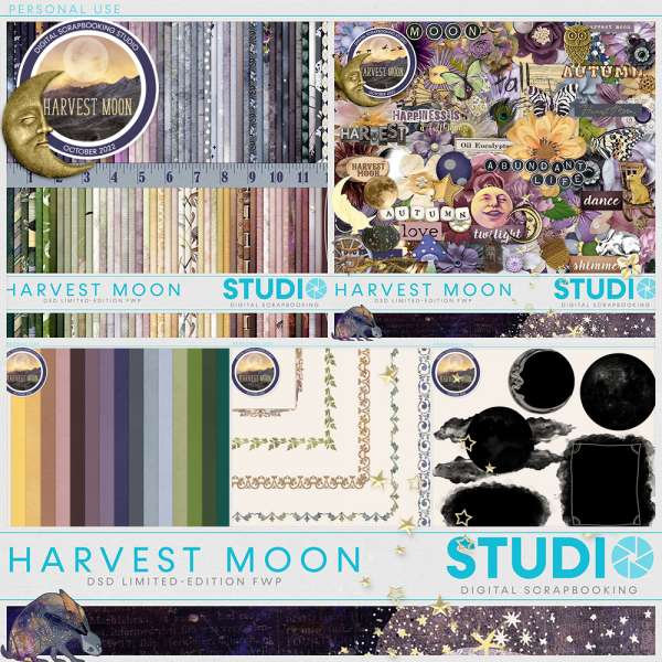 Studio-2022-FWP-Harvest-Moon-Coll