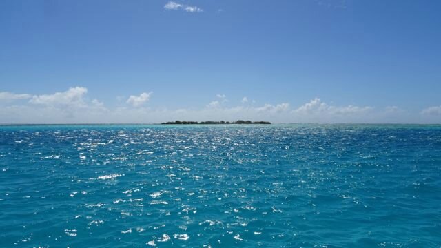 DSC06484