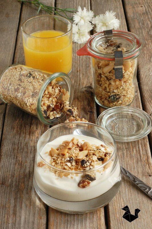 granola_foire_de_bordeaux_