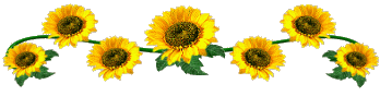 Barre_fleur_Tournesol