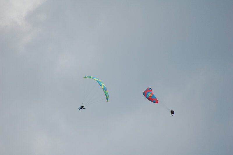 zoom (6)