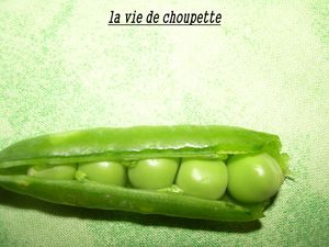 foie_de_lapin_pur_e_kiki_014