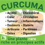 curcuma-baomix-laboratoire-biologiquement-phytotherapie-traitement-therapeutique-plantes-medicinales