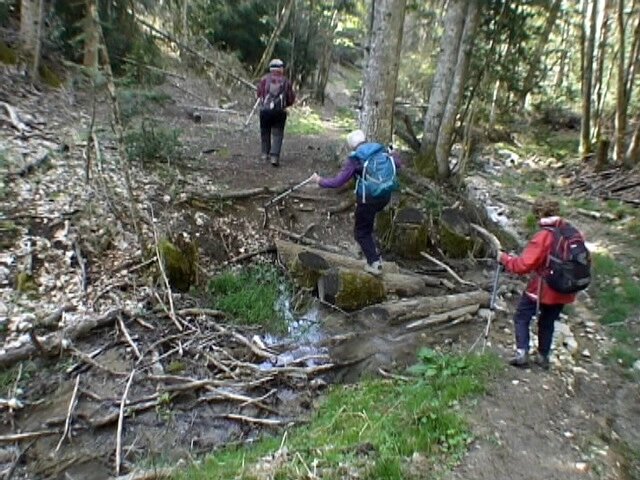 première descente