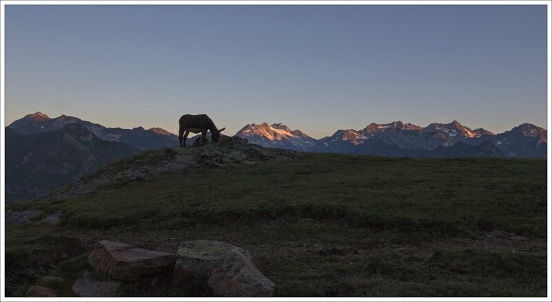 2 Piméné Pyrénées 260615 6