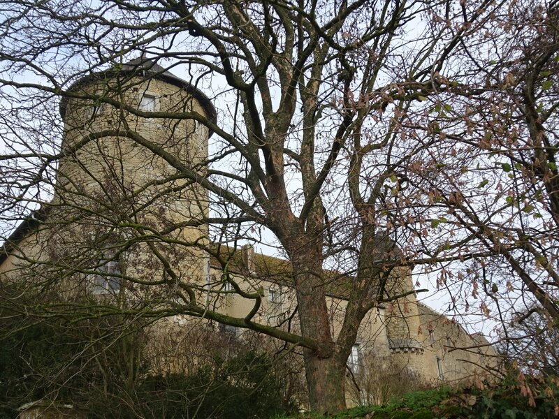 le château de Manonville