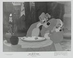 belle_clochard_photo_us_1955_03