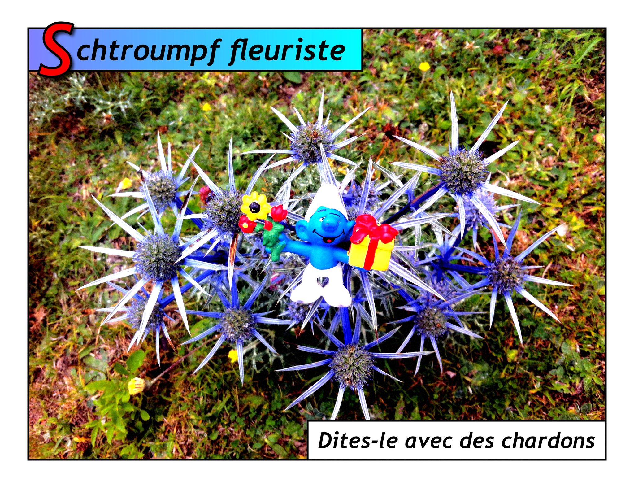 Schtroumpf sympa !