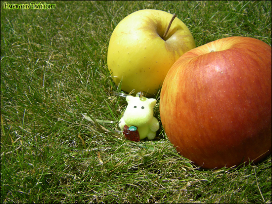 Happy_Apples___26_06_08__3_