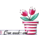 bonweekendtulipes