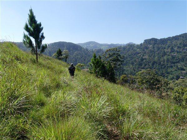 P1270380
